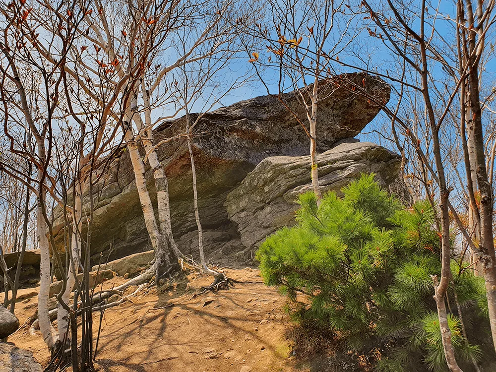 Достопримечательности Южно-Сахалинска — что посмотреть по прибытию на остров Сахалин