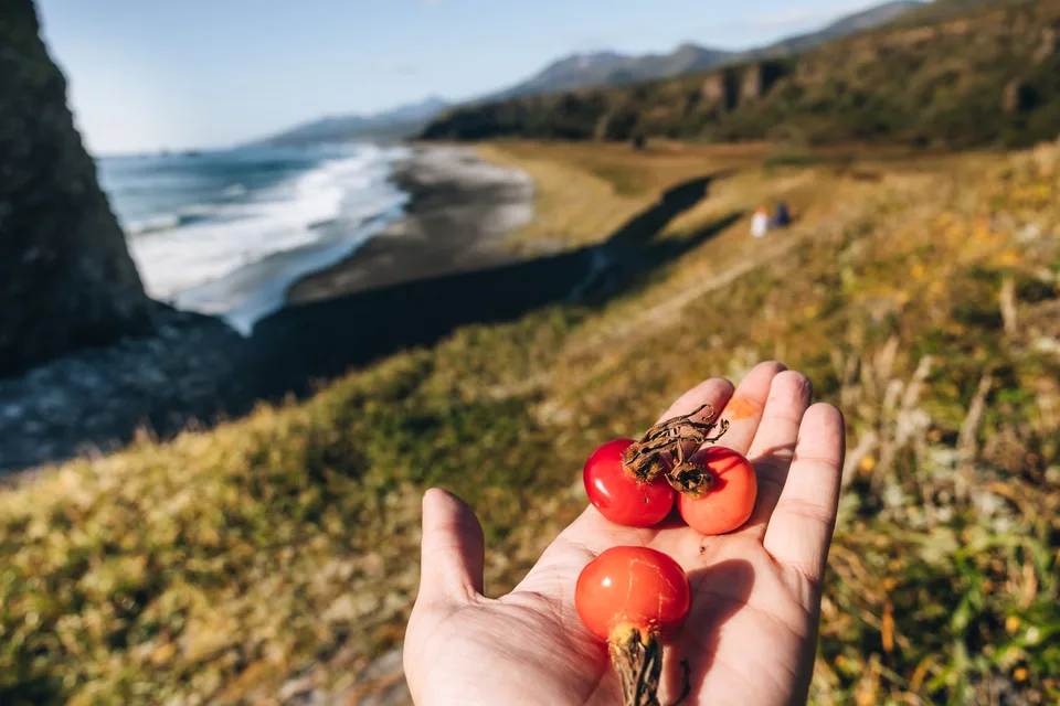 термы Жаркие воды, о.Итуруп