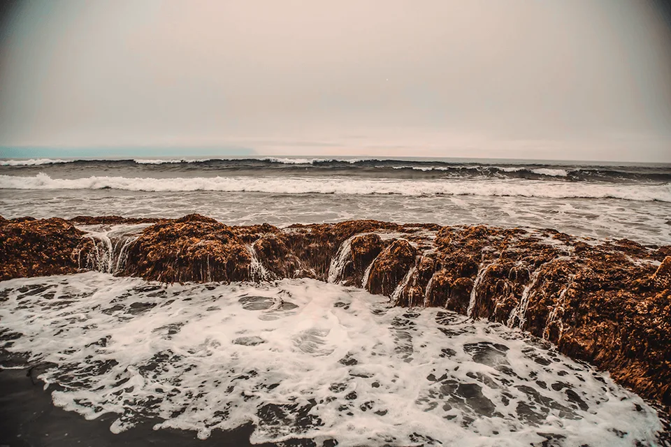 бухта Касатка остров Итуруп