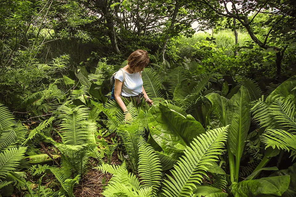Шикотан бухта Церковная