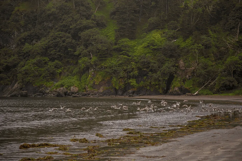 Шикотан бухта Церковная