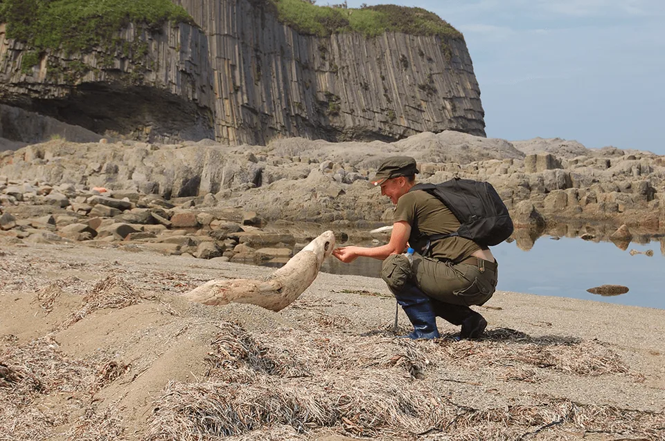 мыс Столбчатый Кунашир