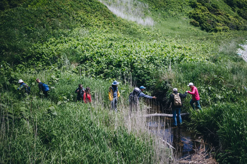 экологическая тропа, о.Кунашир