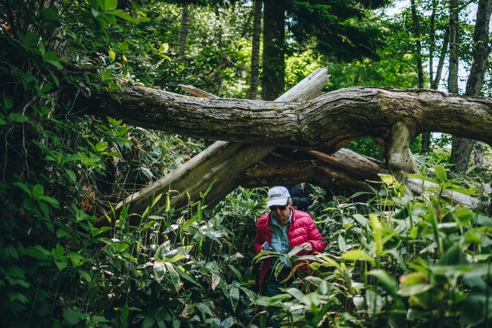 экологическая тропа, о.Кунашир