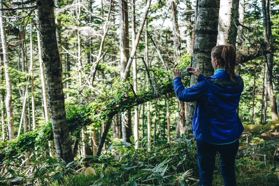 Экологическая тропа Столбовская, грязевые лечебные термальные источники — фото 07, экскурсия АМИСТ