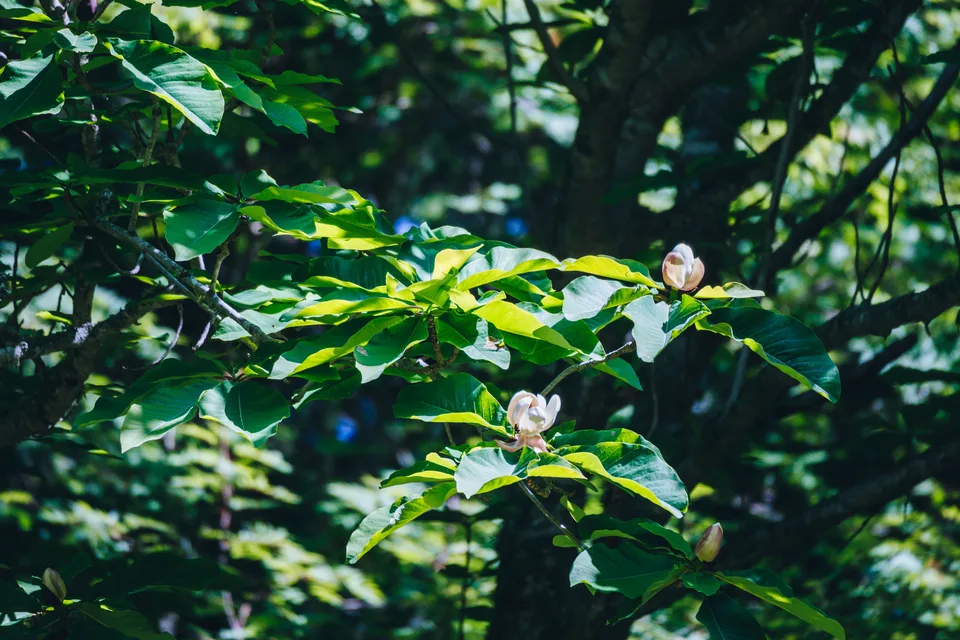 Экологическая тропа Столбовская, грязевые лечебные термальные источники — фото 09, экскурсия АМИСТ