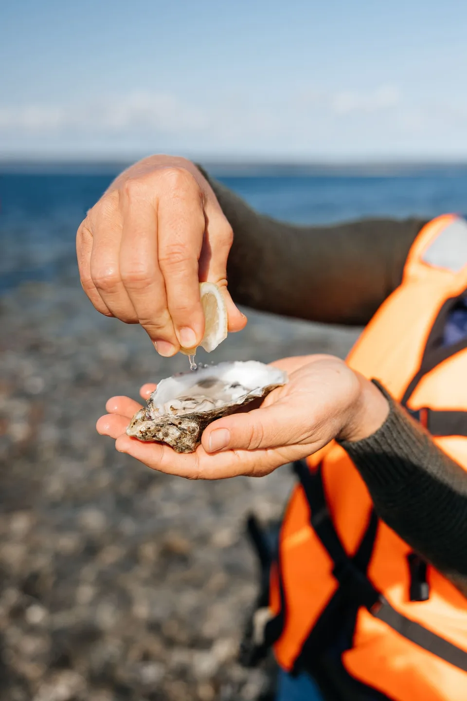 Лагуна  Буссе - гастро-тур на Сахалине — фото 10, экскурсия АМИСТ