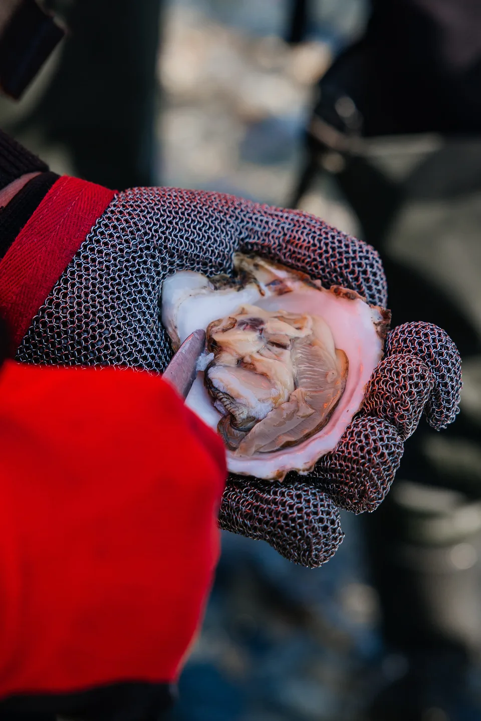 Лагуна  Буссе - гастро-тур на Сахалине — фото 16, экскурсия АМИСТ