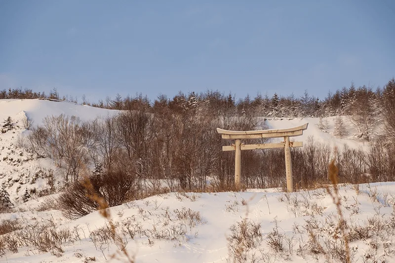 Ворота Тории