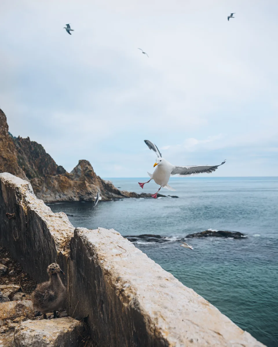 Маяк Анива + закаты и рассветы в лагуне Буссе (2 дня/1 ночь) — фото 04, экскурсия АМИСТ