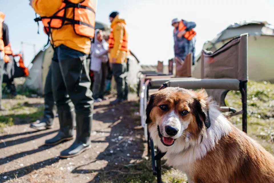 Маяк Анива + закаты и рассветы в лагуне Буссе (2 дня/1 ночь) — фото 07, экскурсия АМИСТ