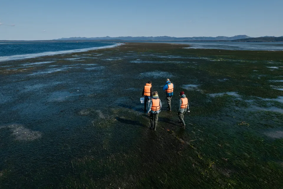 Маяк Анива и обед с устрицами в лагуне Буссе — фото 04, экскурсия АМИСТ