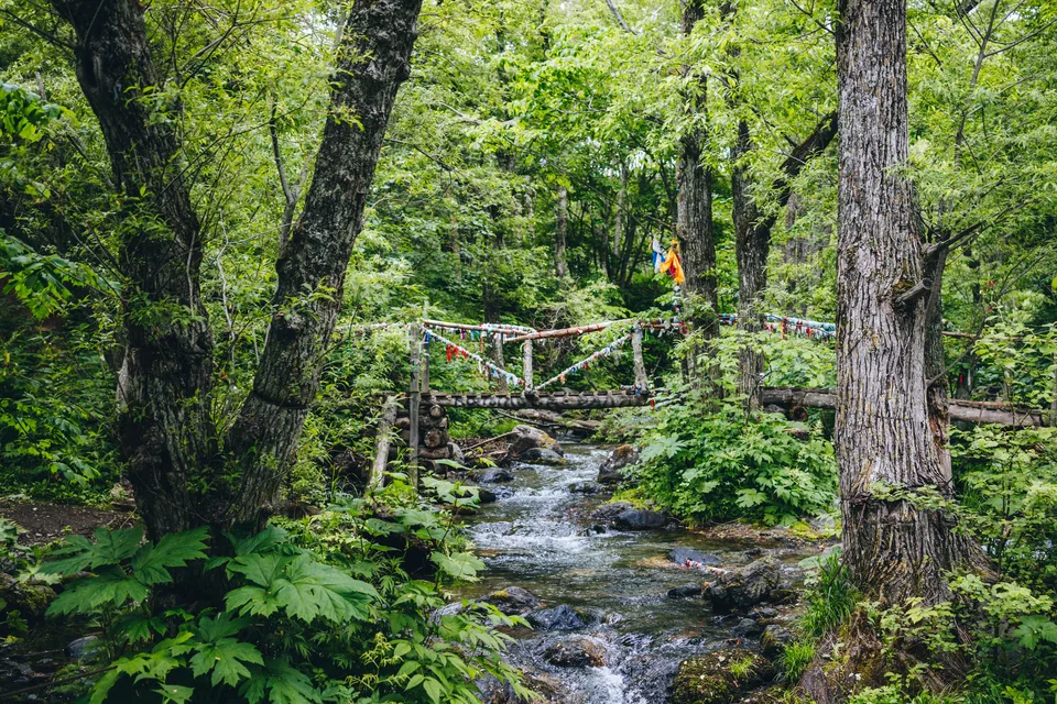 спуск к скале лягушка Сахалин