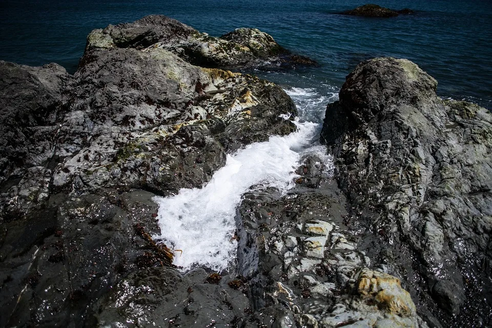 Морская прогулка на маяк Анива и мыс Евстафия — фото 13, экскурсия АМИСТ