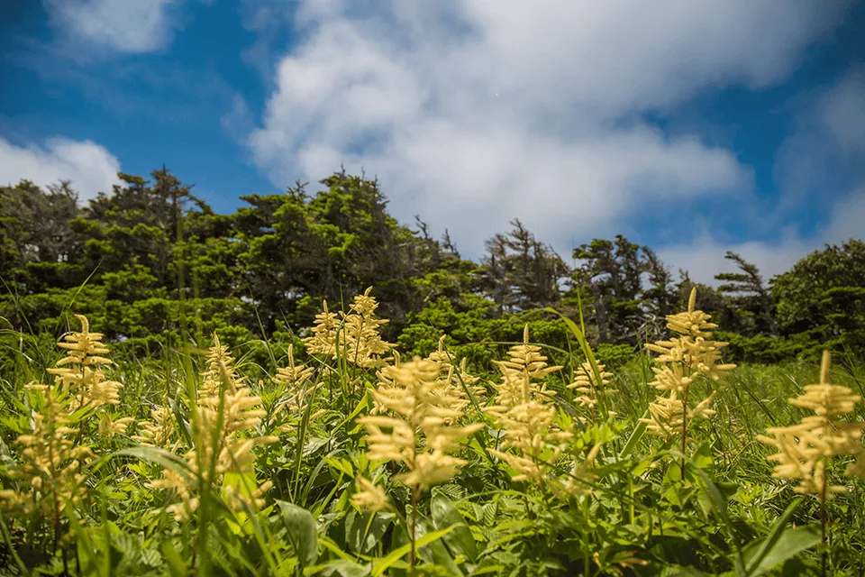 мыс Край Света