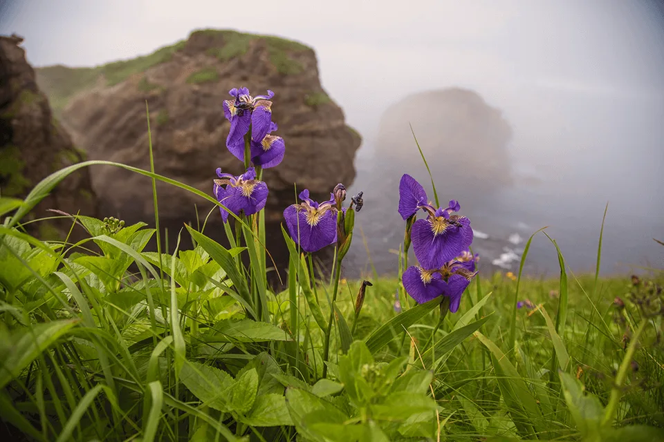мыс Край Света