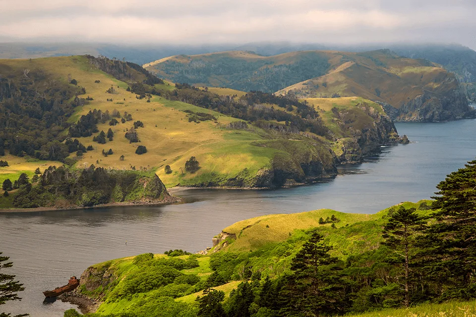 Шикотан бухта Безымянная