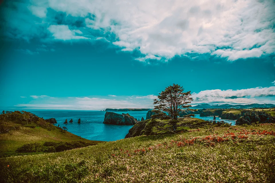 Шикотан бухта Безымянная