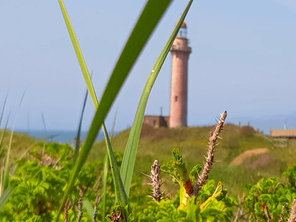 sakahlin_maiak_slepikovskogo