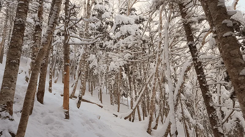 Останец Лягушка - «Место Силы»: зимняя экскурсия — фото 02, экскурсия АМИСТ