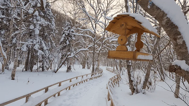 Останец Лягушка - «Место Силы»: зимняя экскурсия — фото 03, экскурсия АМИСТ