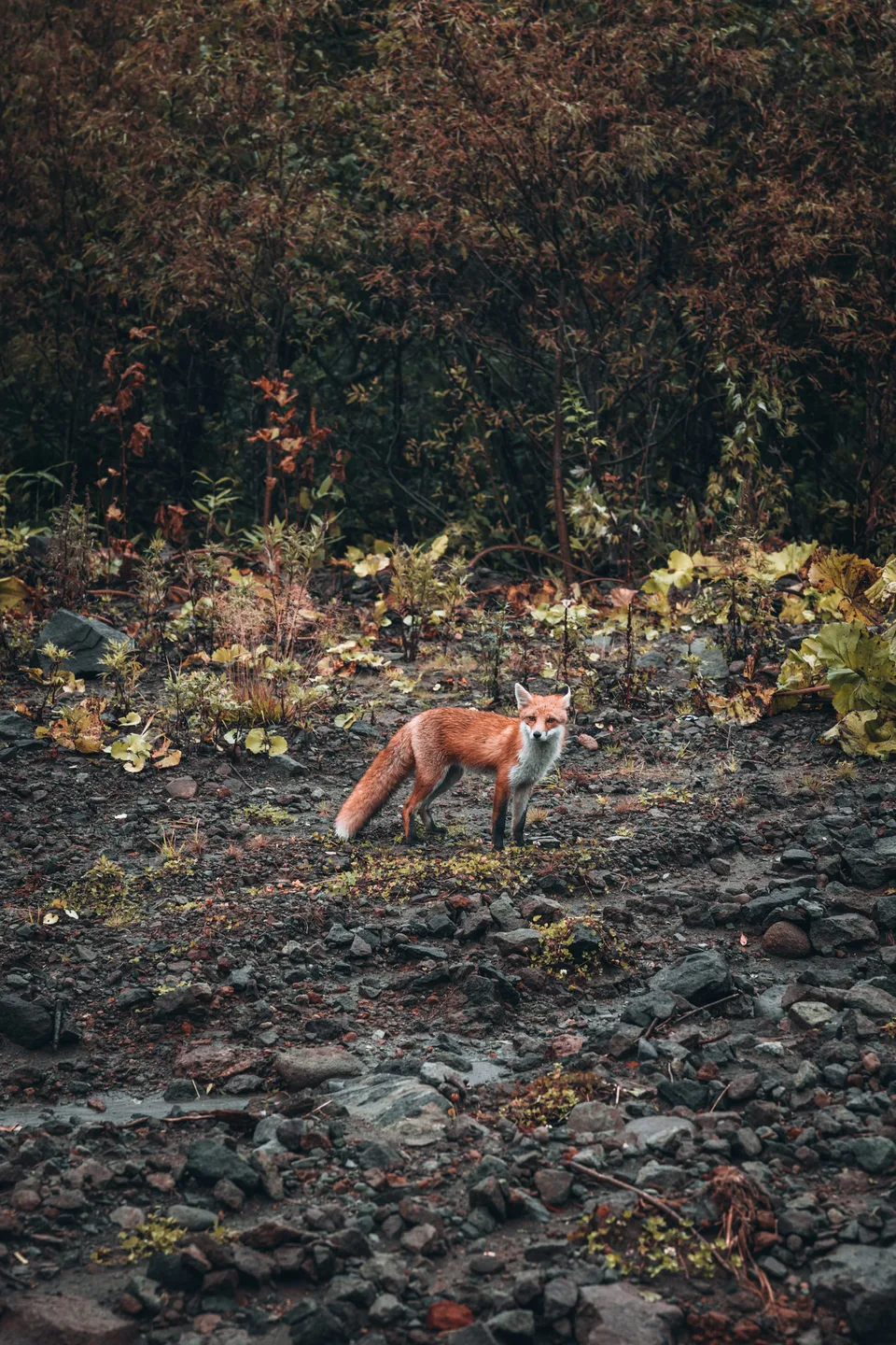 термальные  источники "Ванночки"