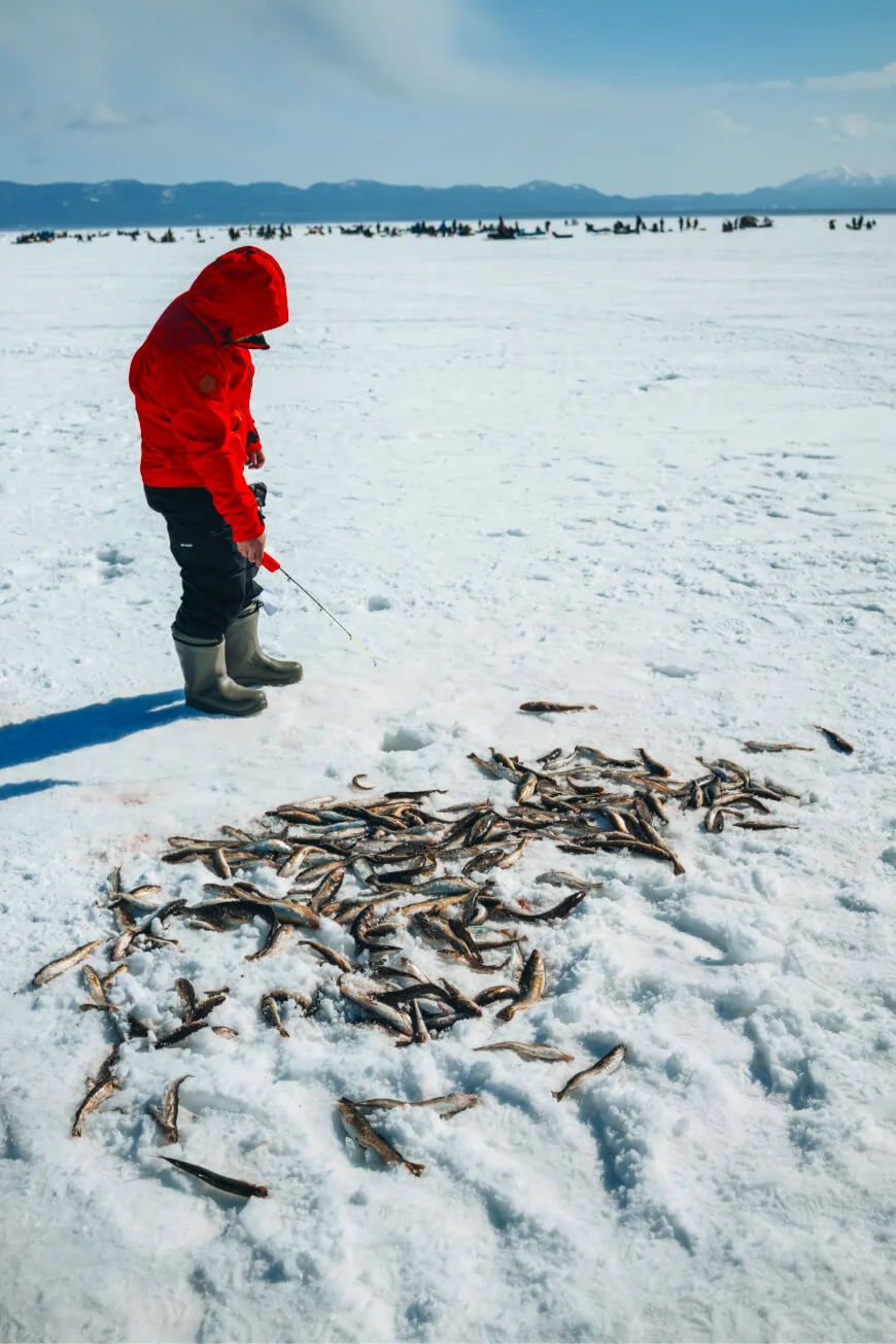 Сахалинский рыбачок — фото 05, экскурсия АМИСТ