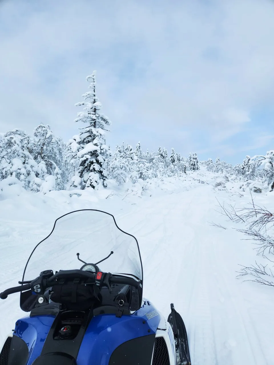 Снегоходное сафари на Мицульский хребет и японские тоннели — фото 05, экскурсия АМИСТ