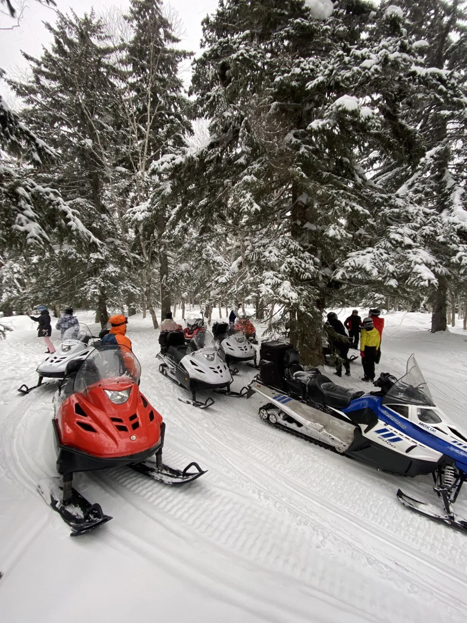 Снегоходное сафари на Мицульский хребет и японские тоннели — фото 07, экскурсия АМИСТ