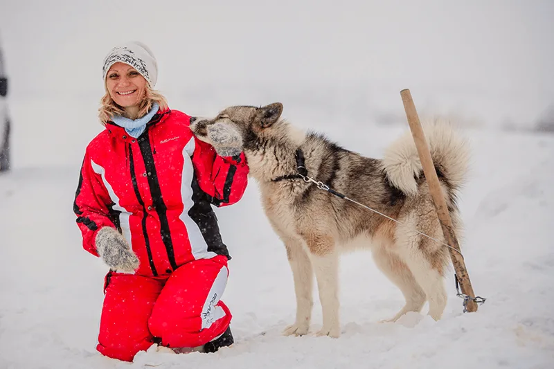 Собачьи упряжки и знакомство с северными оленями — фото 01, экскурсия АМИСТ