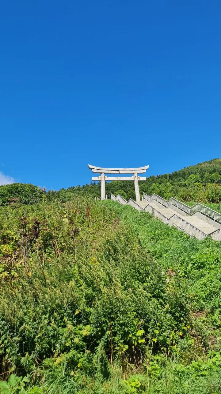 остров Сахалин бухта Тихая