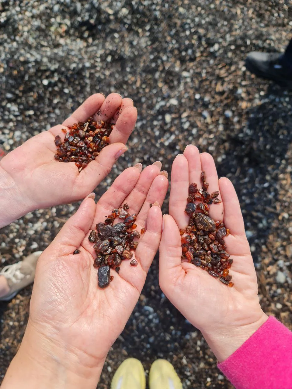 Янтарное побережье и бухта Тихая — фото 06, экскурсия АМИСТ