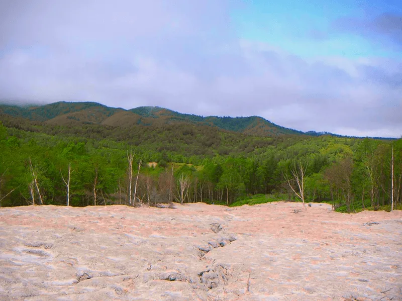 Южно-Сахалинский грязевой вулкан - экскурсия — фото 04, экскурсия АМИСТ