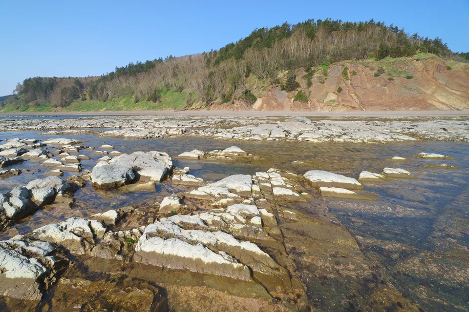 Отлив на скалистом берегу Сахалина