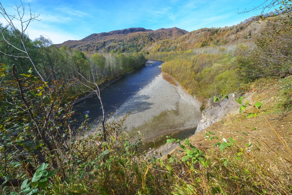 Река в лучах осеннего солнца, Сахалин