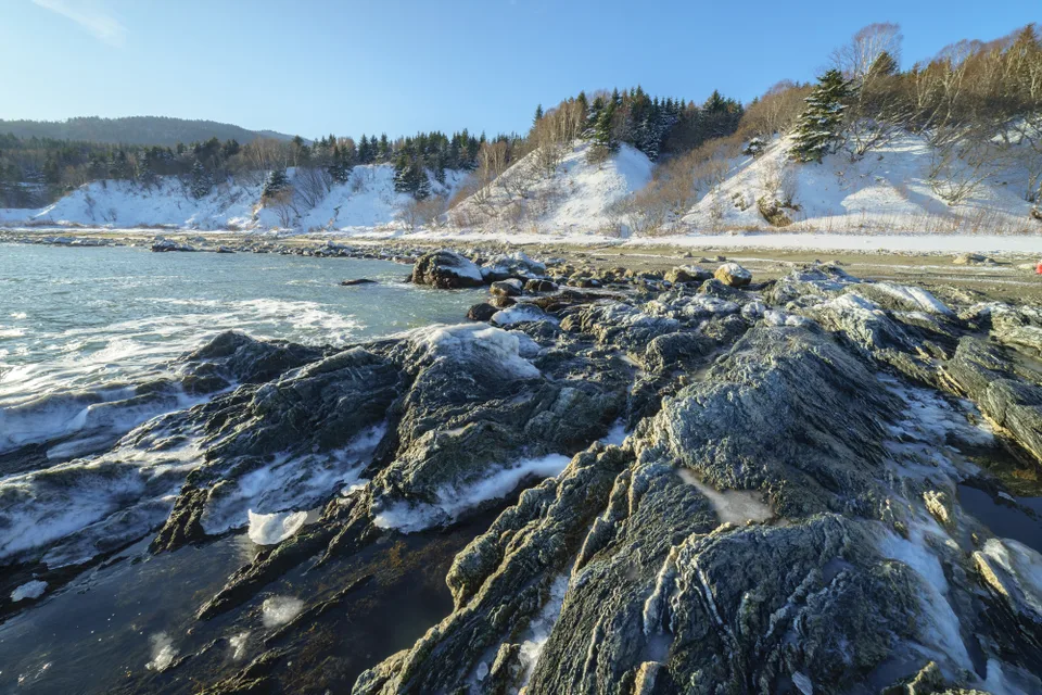 Побережье Сахалина