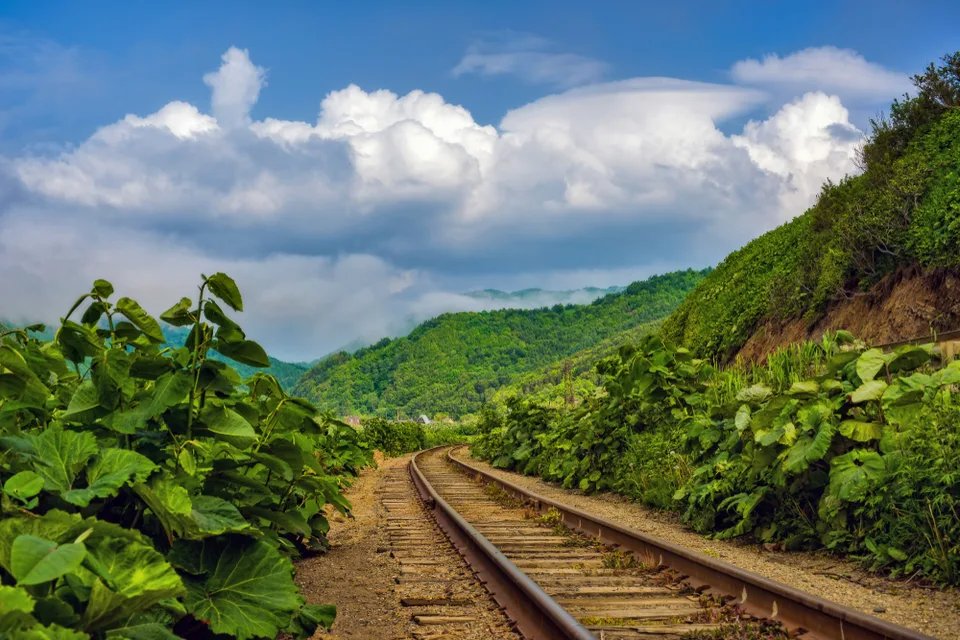 Дикая природа острова