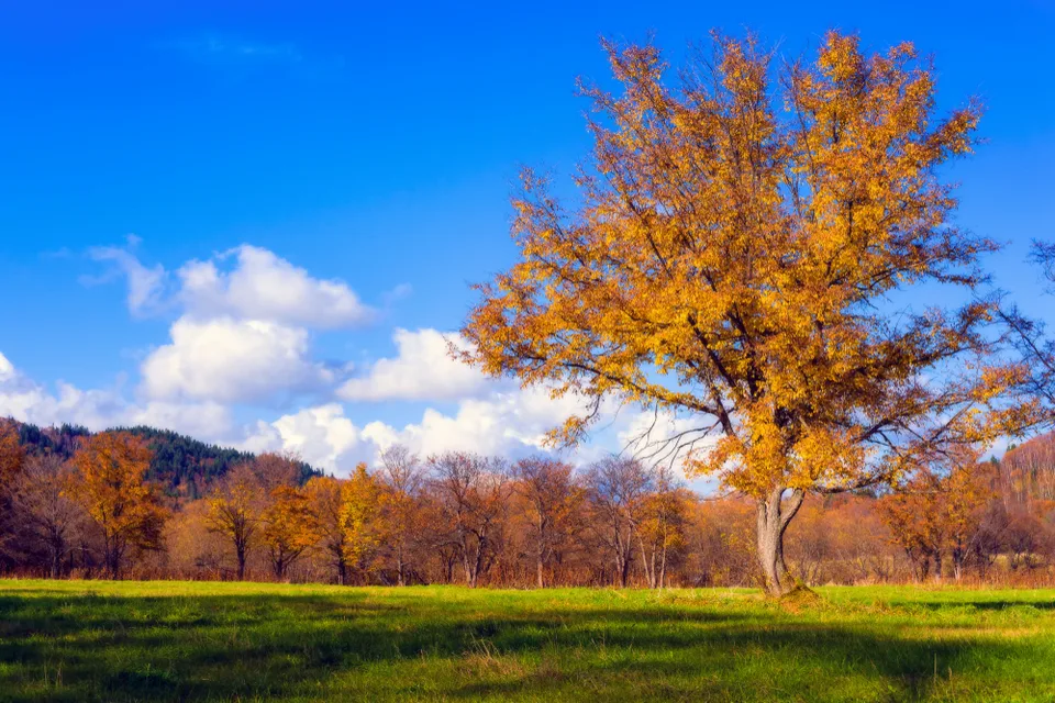 Скалистый берег Сахалина