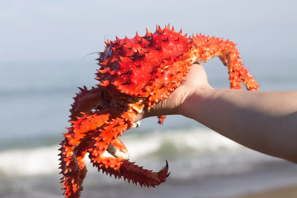 Вулканы Курил