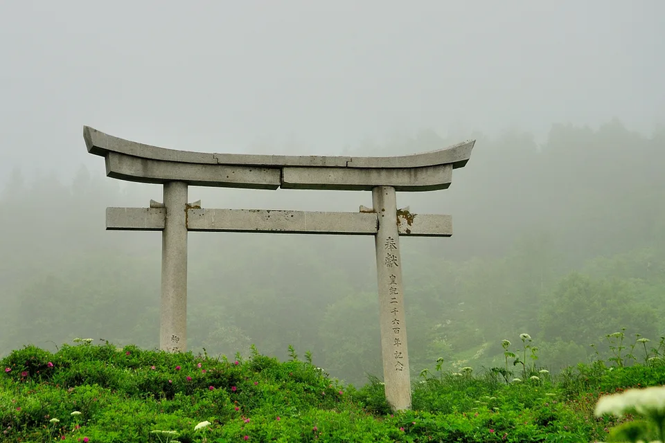 Леса Сахалина