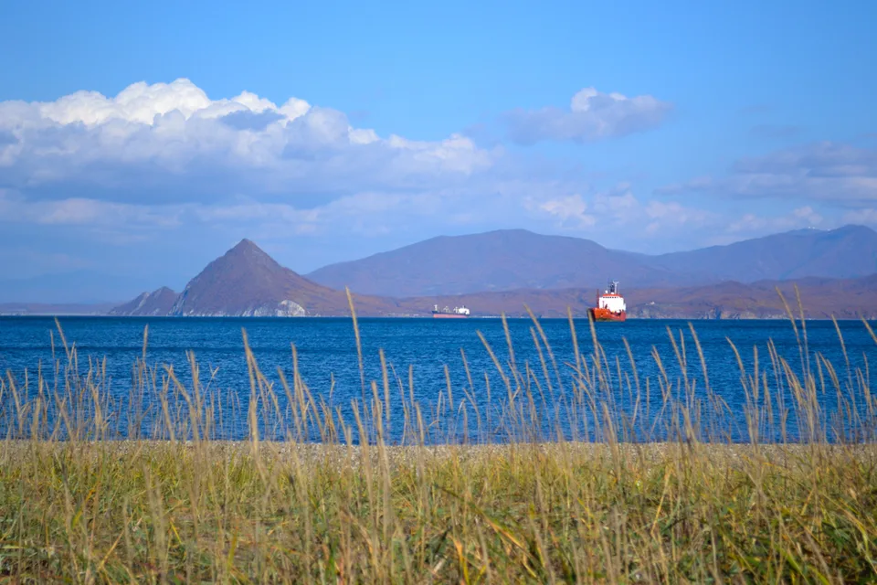 Птицы Сахалина