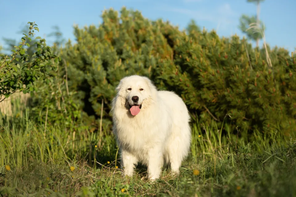 Рассвет на островах