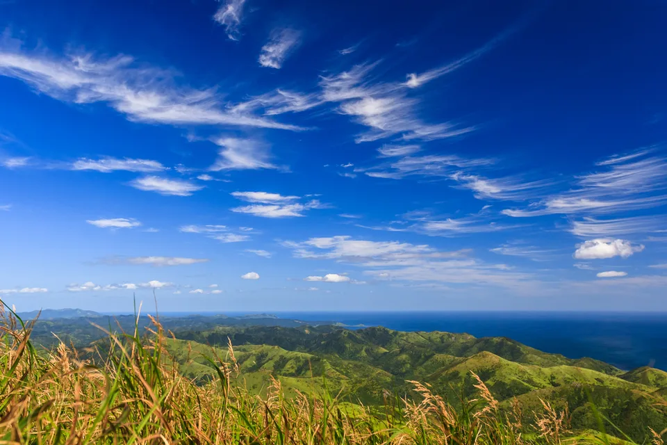 Тайга на Сахалине