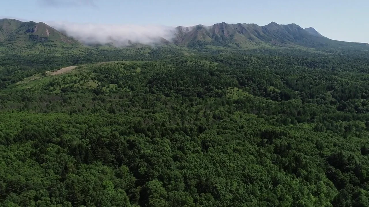 Хребет Жданко — аэросъёмка, Сахалин