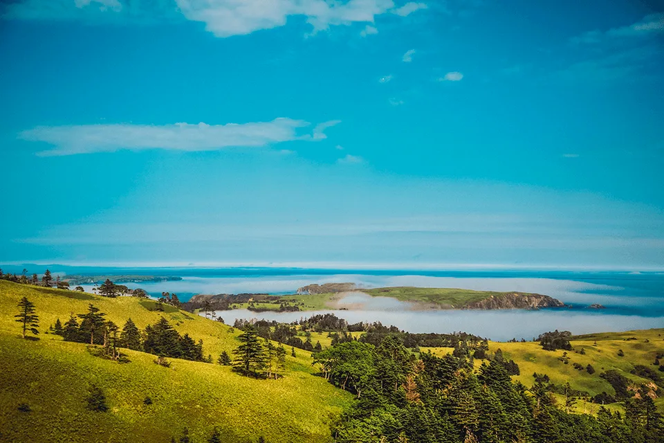 Бухта Снежкова, Сахалин