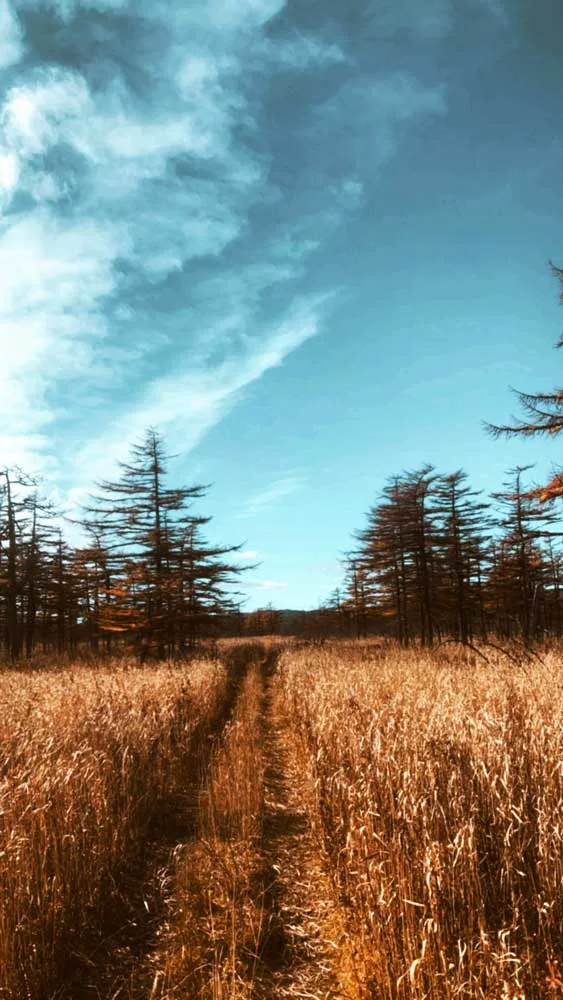 Грязевой вулкан Магунтан, Сахалин