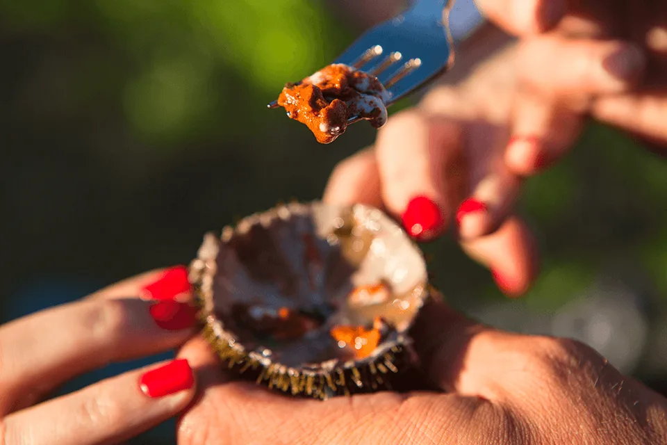 Лагуна Буссе на о.Сахалин