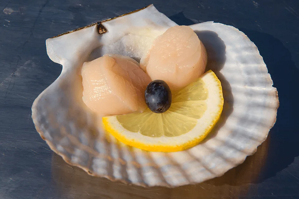 Лагуна Буссе на о.Сахалин