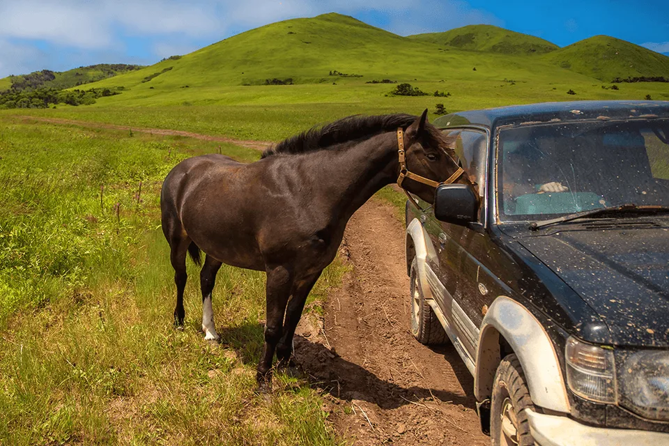 мыс Край Света. о.Шикотан