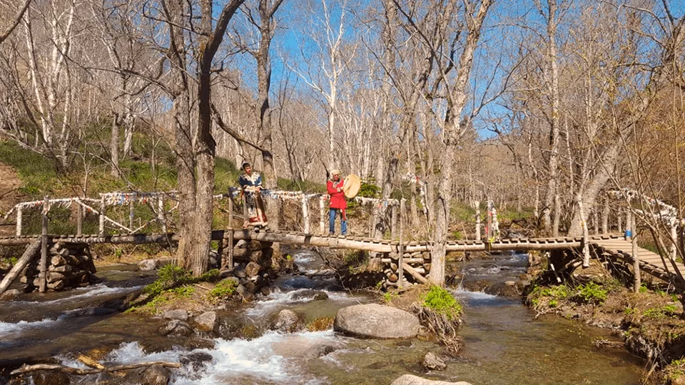 Скала Лягушка на Сахалине